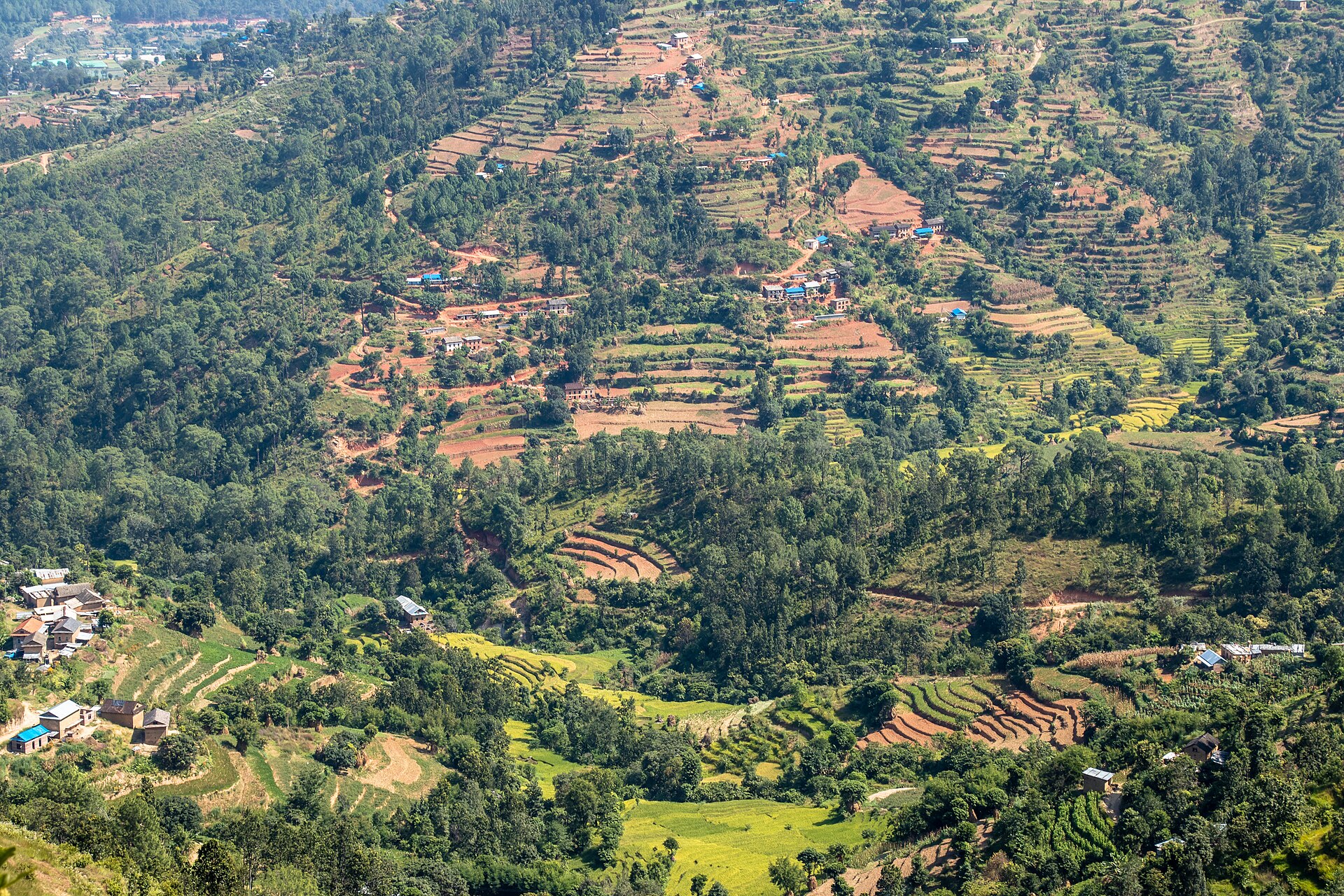 Terraced fields, woodland, and scattered homes in Rakathum, Ramechhap, Nepal